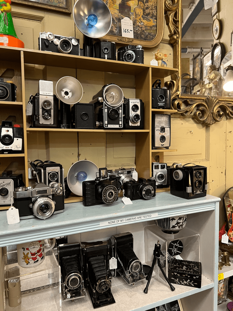 Shelves full of vintage cameras.